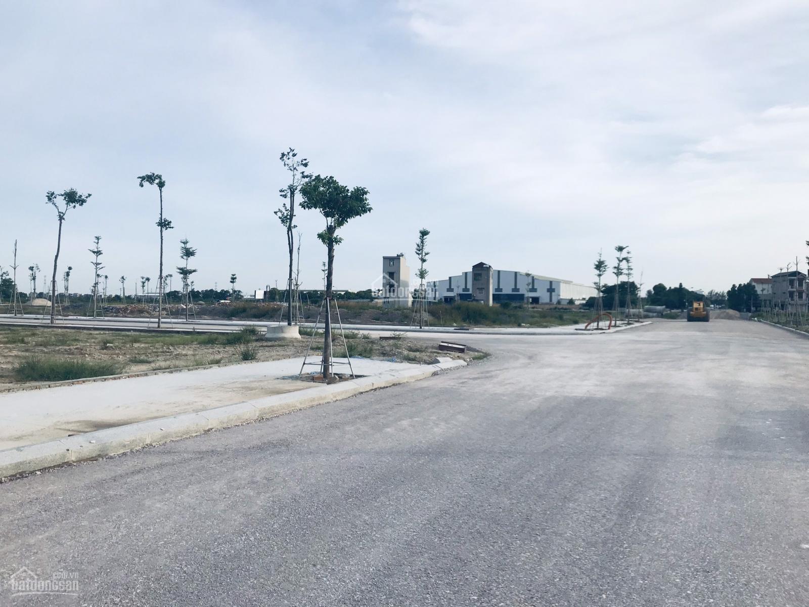 phu quy golden land 1473415 6
