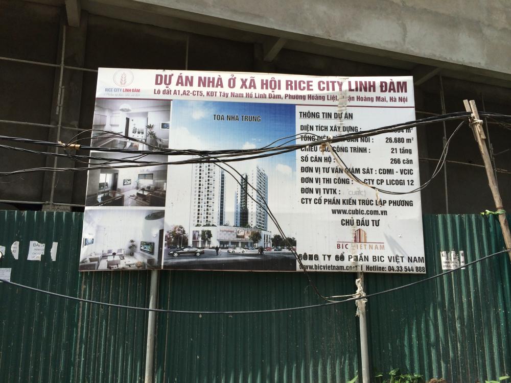 rice city linh dam 1360646 14