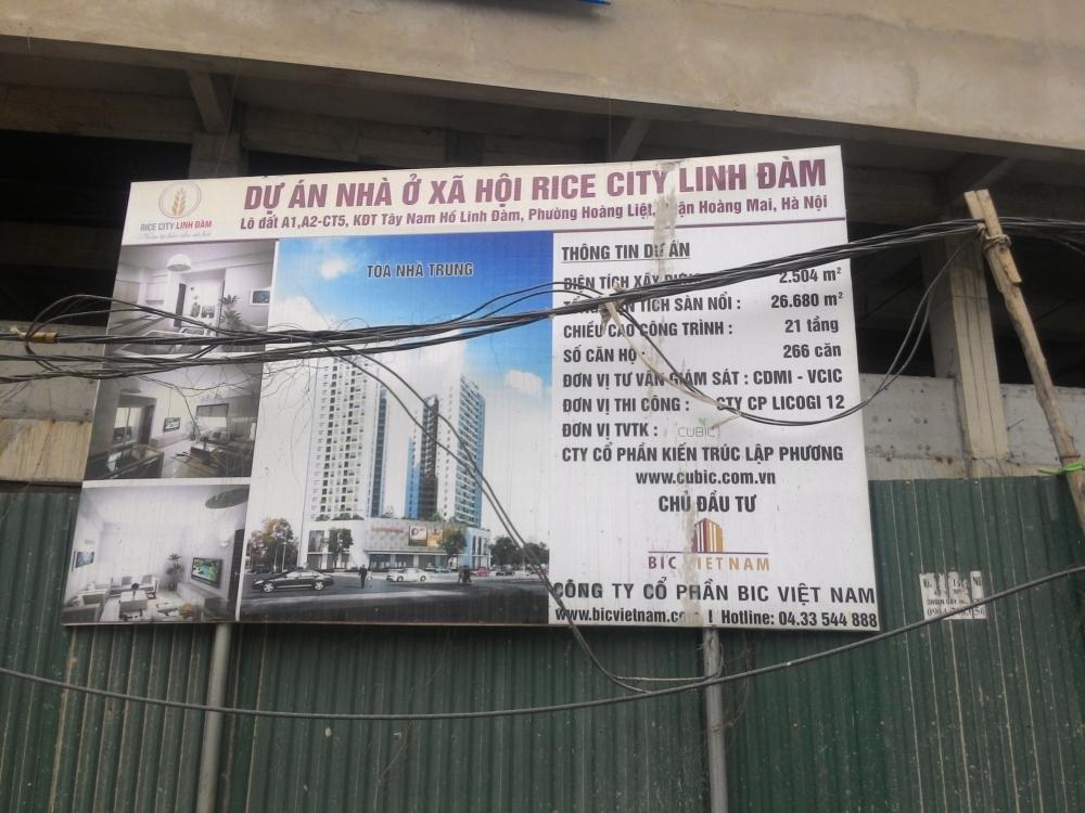 rice city linh dam 1360646 19