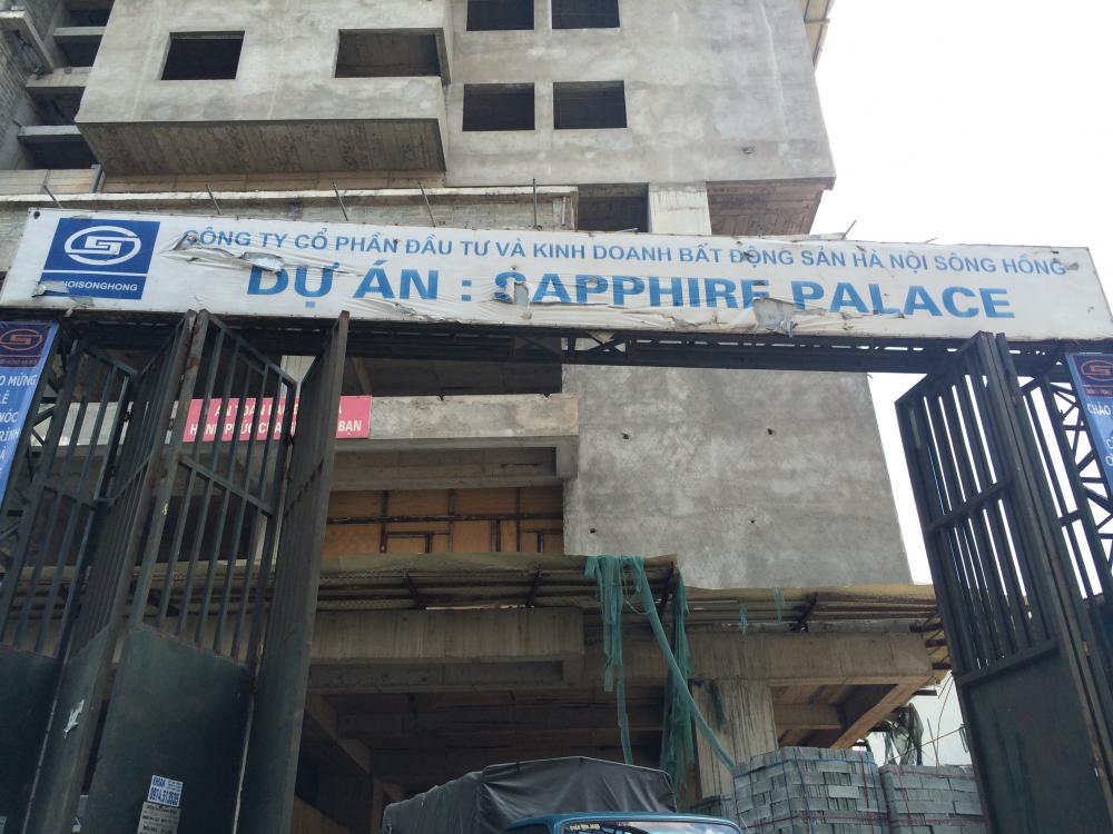 sapphire palace 1402693 28