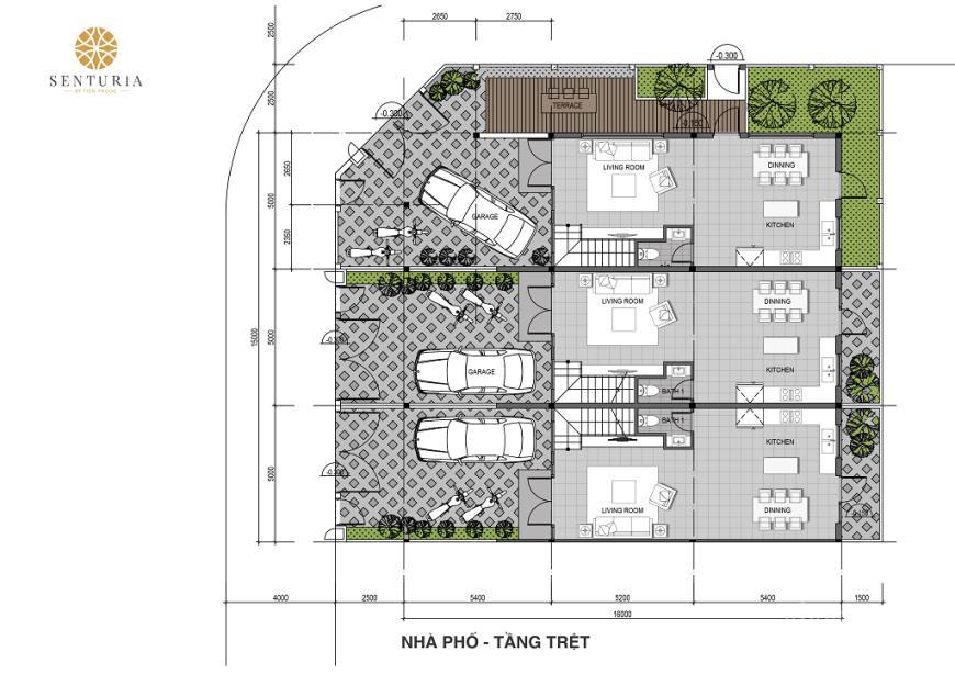 senturia vuon lai 1375043 6