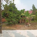  254m2 - 6