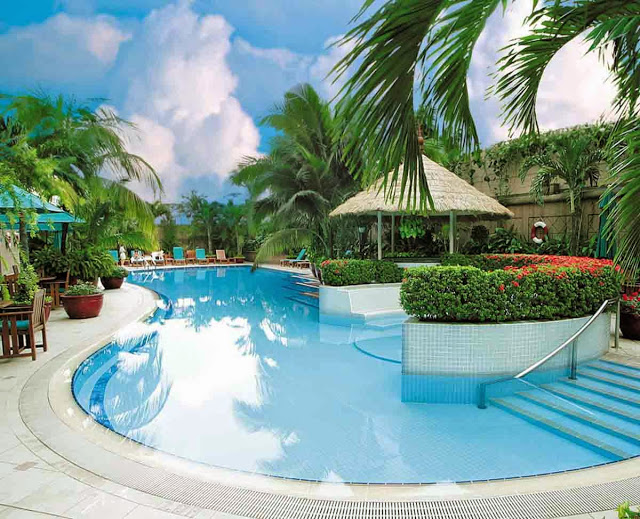 the golden palm le van luong 1353401 1