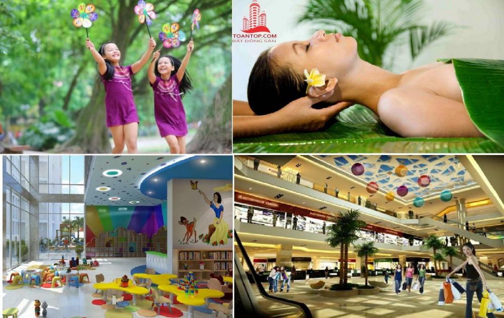 the golden palm le van luong 1353401 3