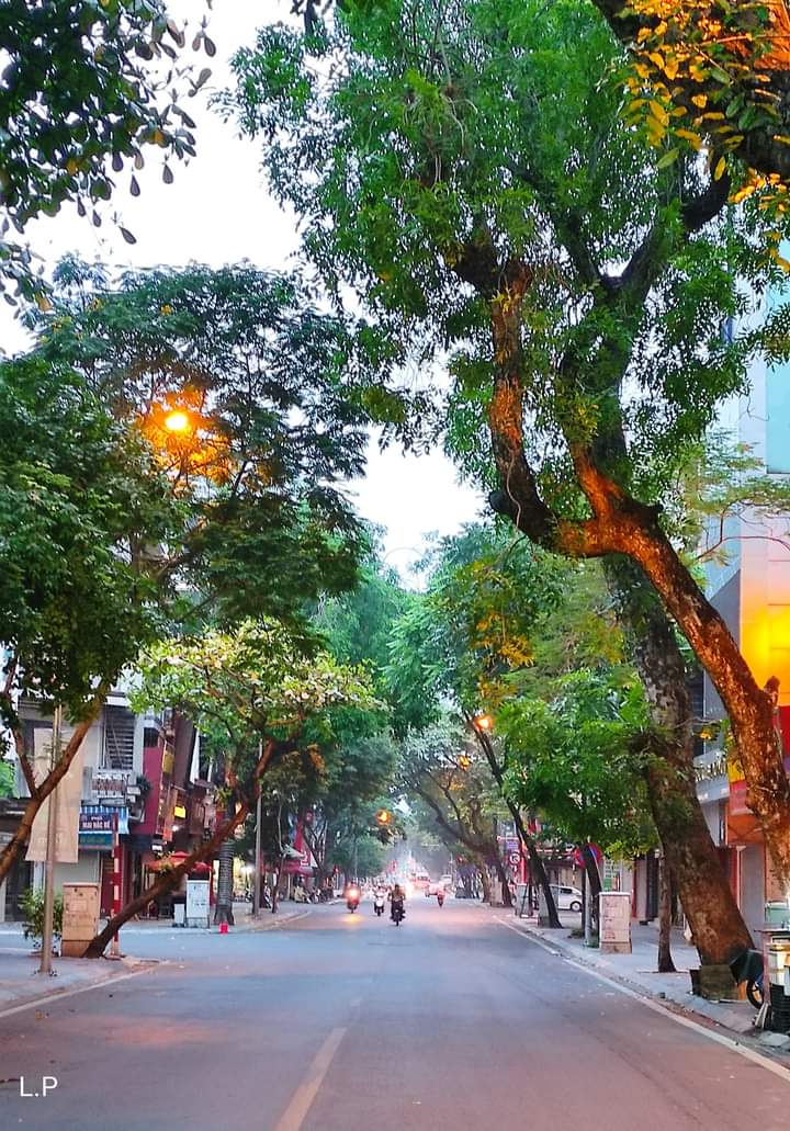 TOÀ BIỆT THỰ, MẶT PHỐ Đường 800A. MB 222M². 40.99 tỷ.