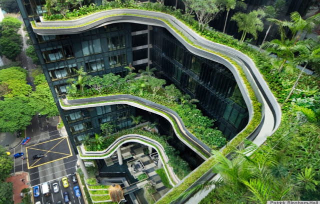 veranda vung tau 1350963 1