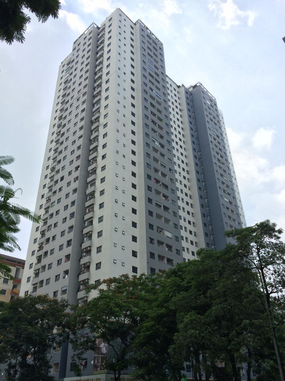 vp5 linh dam 1504266 2