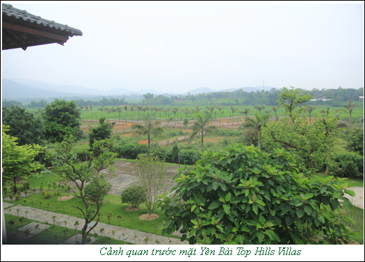 Thiết kế, mẫu nhà của Yên Bài Top Hills Villas | ảnh 6