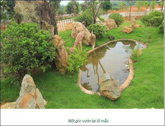 Thiết kế, mẫu nhà của Yên Bài Top Hills Villas | ảnh 8