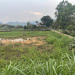  200m2 - 5