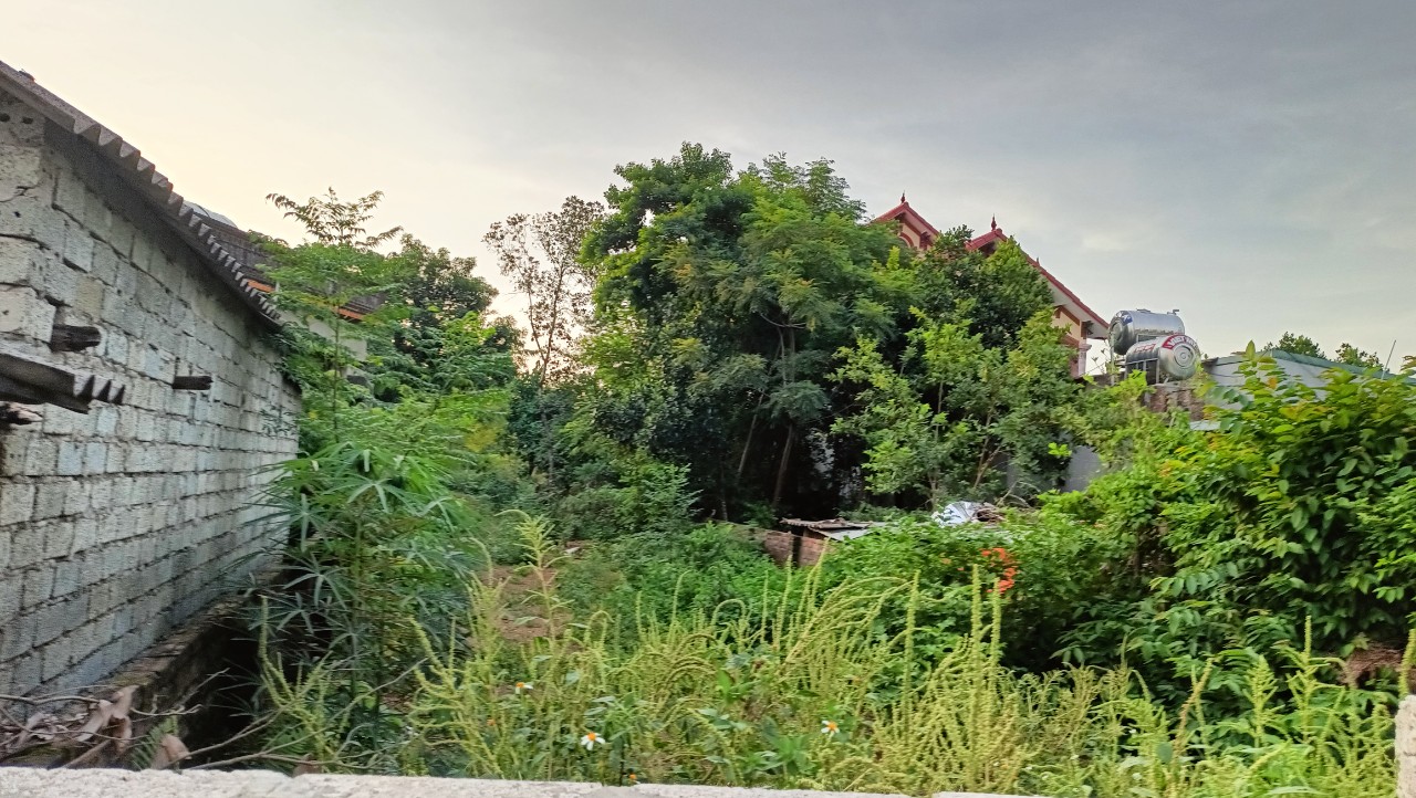 369M TRỤC CHÍNH THÔN VÂN LÔI, BÌNH YÊN, THẠCH THẤT. GẦN ĐẠI HỌC FPT, CNC HÒA LẠC.