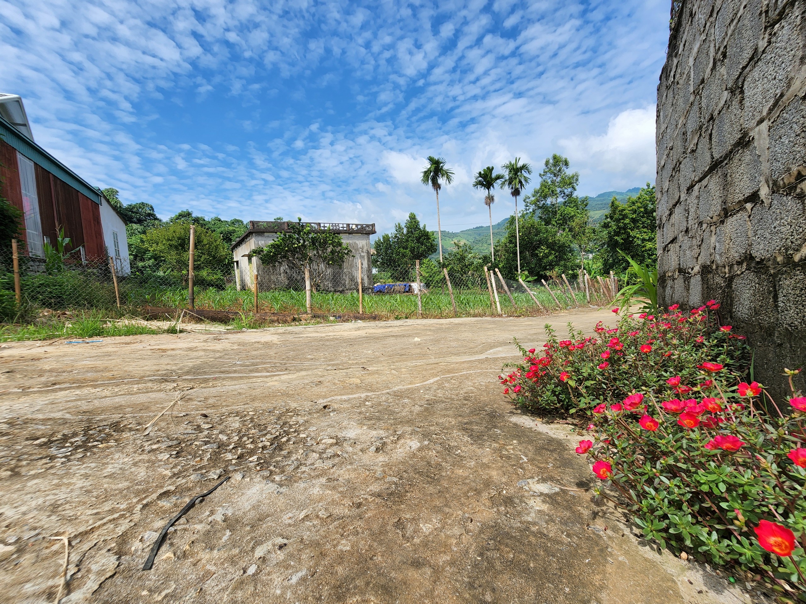 Chính chủ bán đất tặng nhà giá cực rẻ hơn 900k/m dt 1883m2 tại Phố Bằng, Tây Phong 800ONT sẵn nhà cấp 4