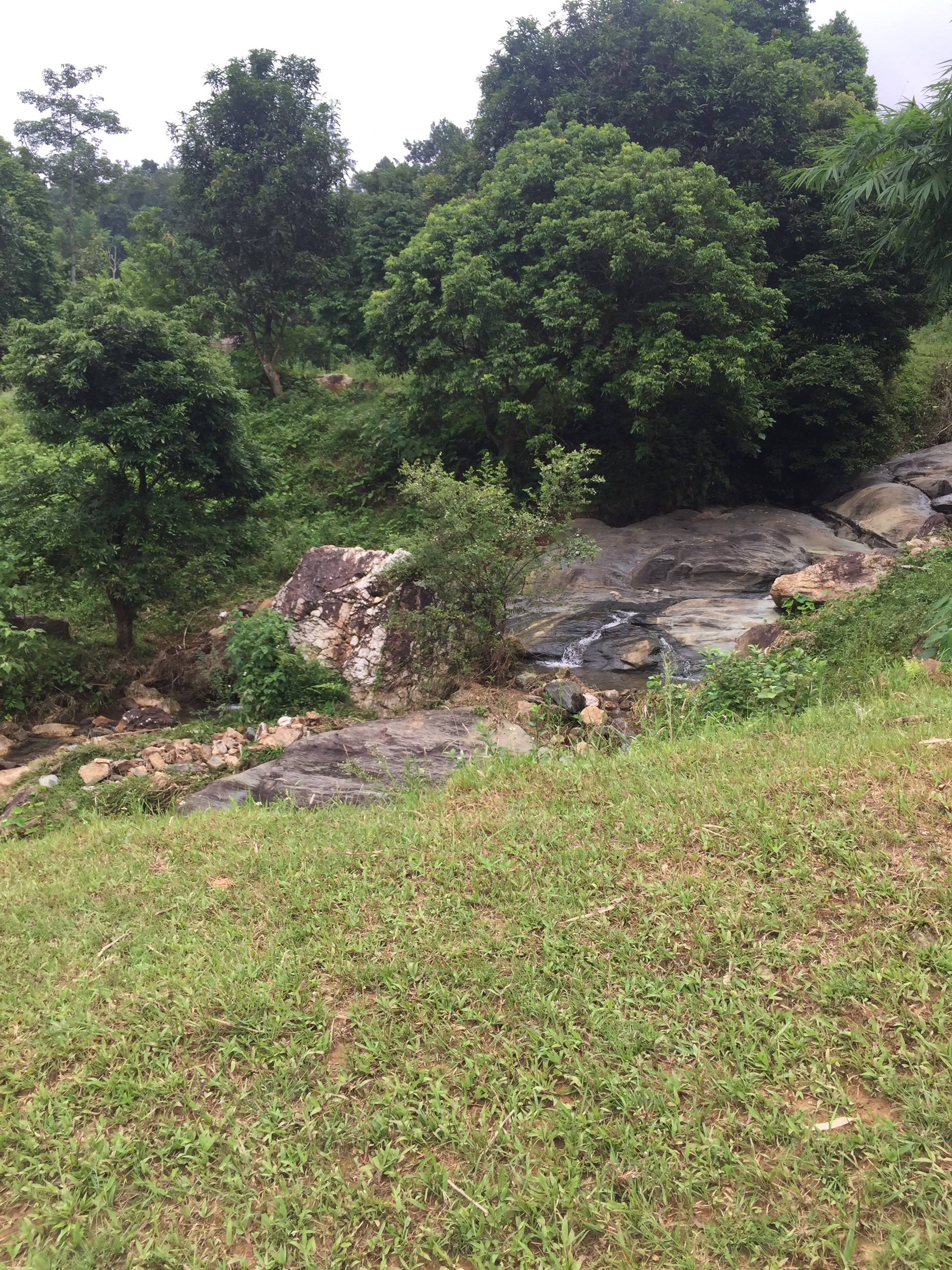 Sẵn suối chảy trong đất DT hơn 1,3ha bám đường bê tông giá công khai chỉ 1tr/m² tại Ba Vì.