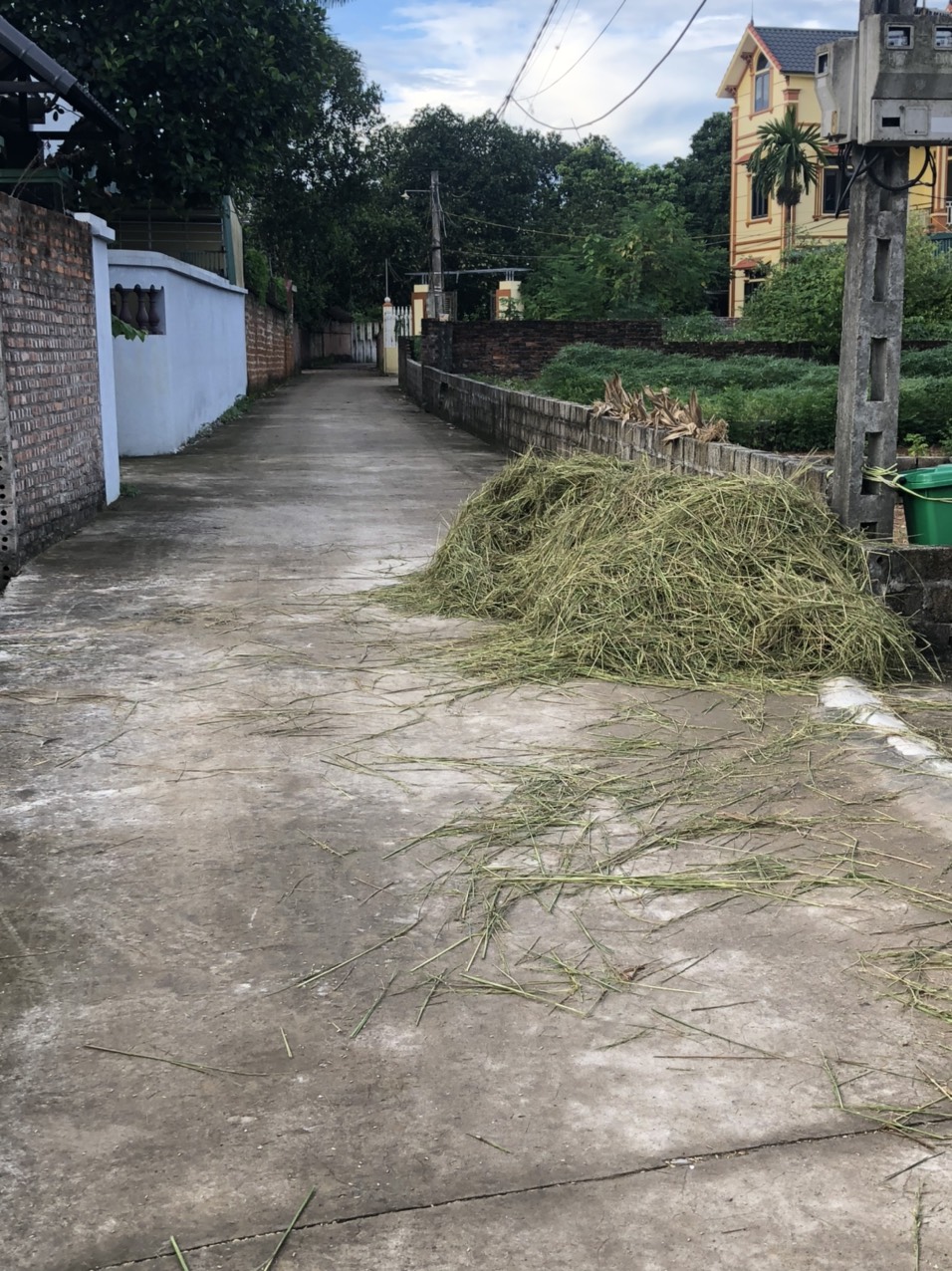 NHỈNH TỶ SỞ HỮU LÔ 80M2 TẠI BÌNH YÊN GẦN KHU CNC HÒA LẠC