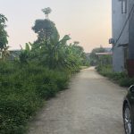  200m2 - 7