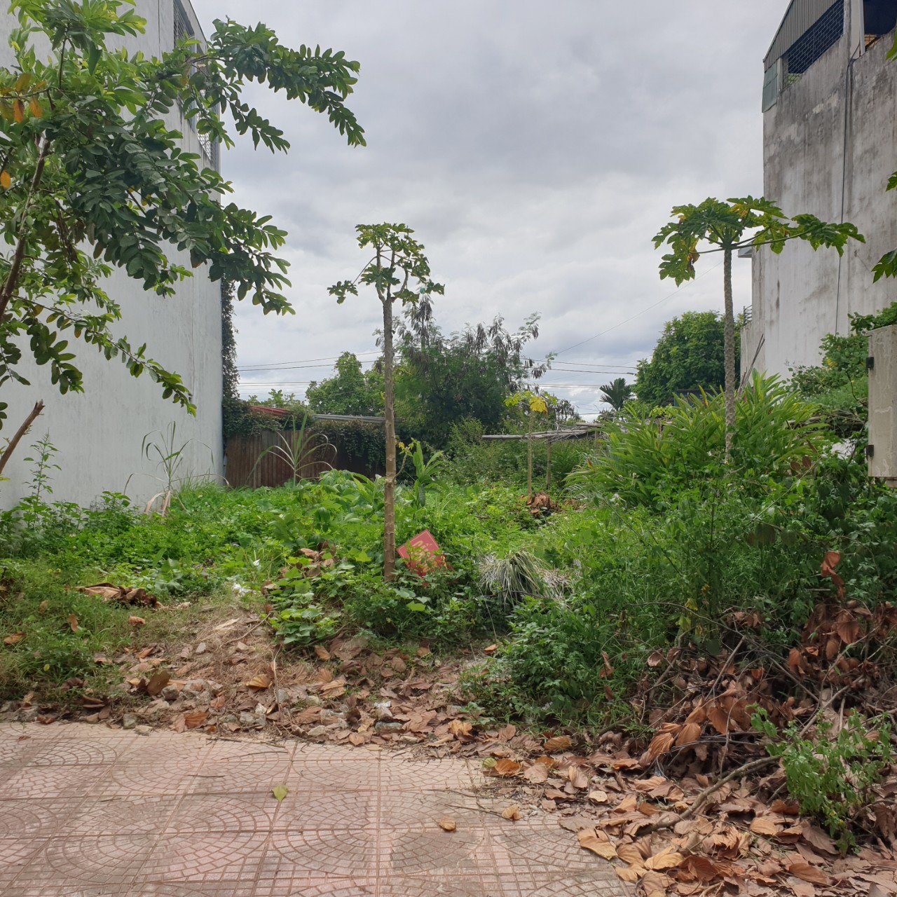 Bán nhà 2 tầng bản Pa Lếch, xã Thanh Chăn, huyện Điện Biên