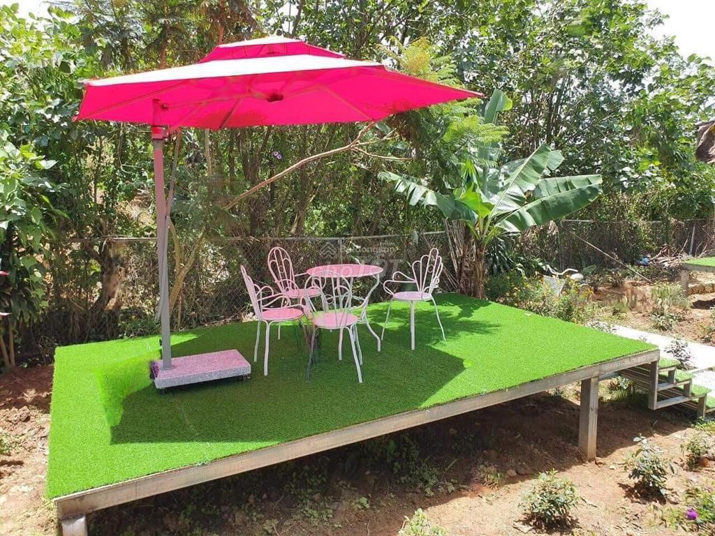 CHÍNH CHỦ BÁN GẤP ĐẤT KÈM NHÀ MT ĐƯỜNG NGUYỄN ĐÌNH QUÂN