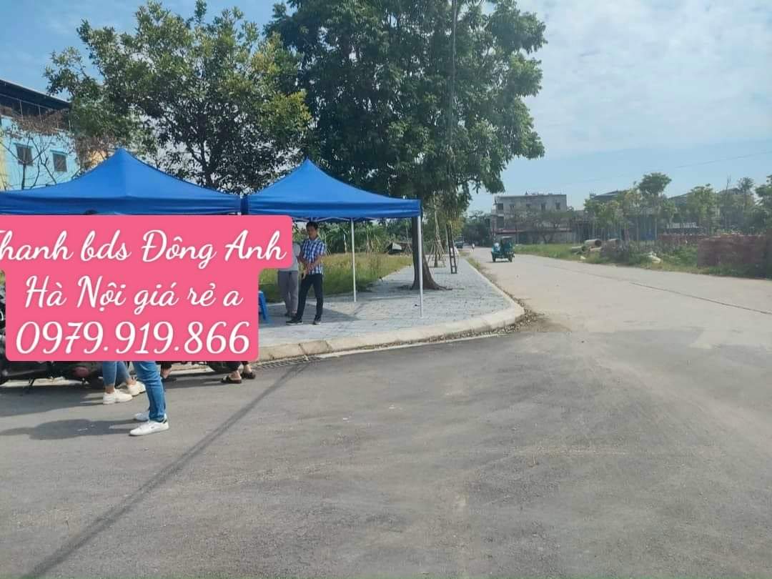 Chính chủ bán lô LK2-3 và lk2-5 Giao Tác xã Liên Hà huyện Đông Anh tp Hà Nội - Diện tích : 99m2.- Mặt tiền : 6m.