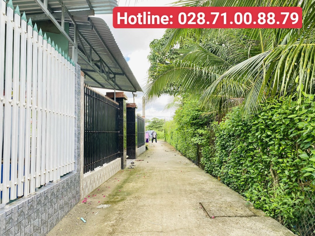 Cần bán 2 công đất cây lâu năm tại Tân Tỉnh B xã Tân Mỹ Chánh Tp. Mỹ Tho Tiền Giang