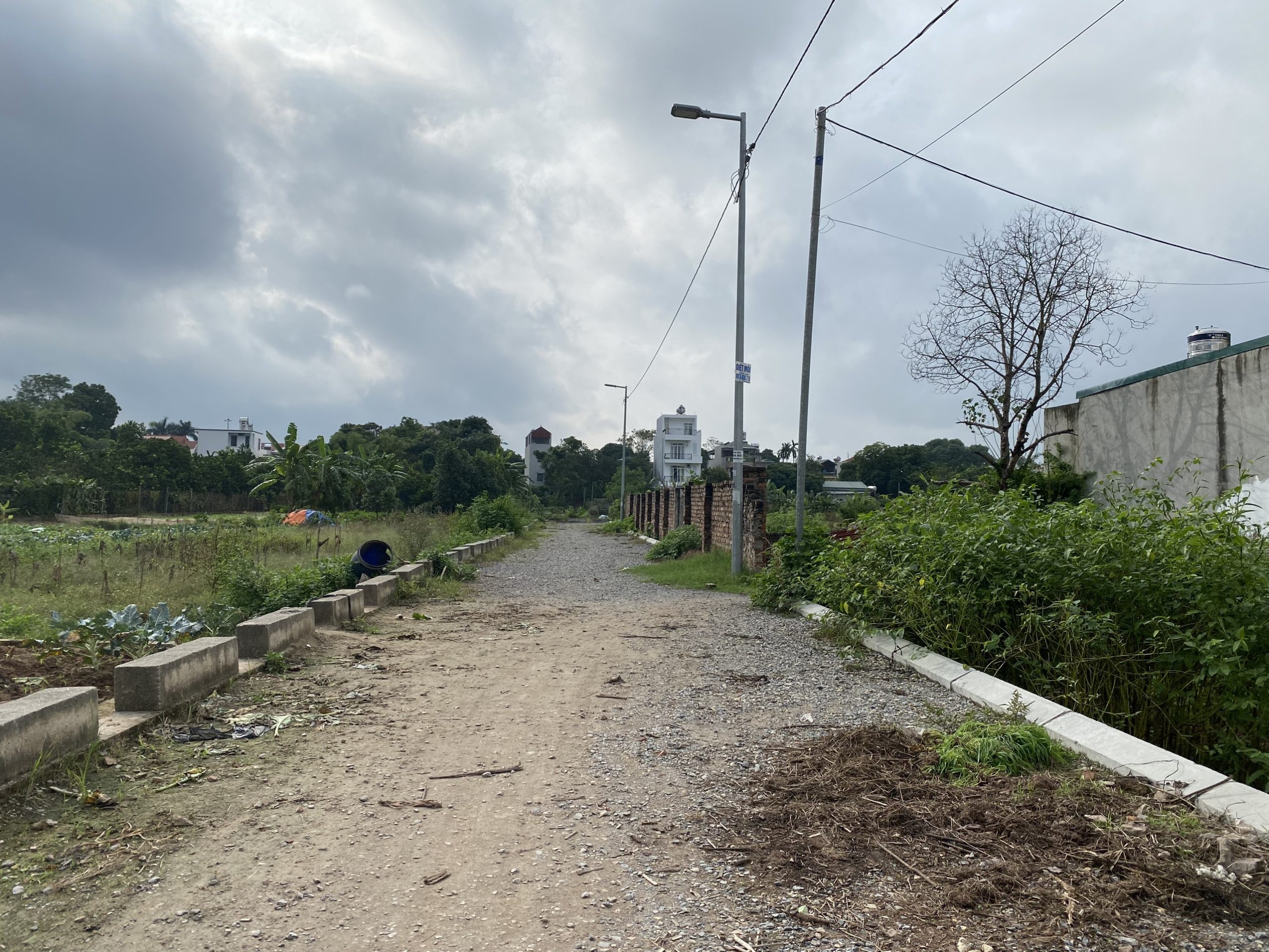 HÀNG HIẾM ĐẦU TƯ ĐẶNG XÁ, GIA LÂM.