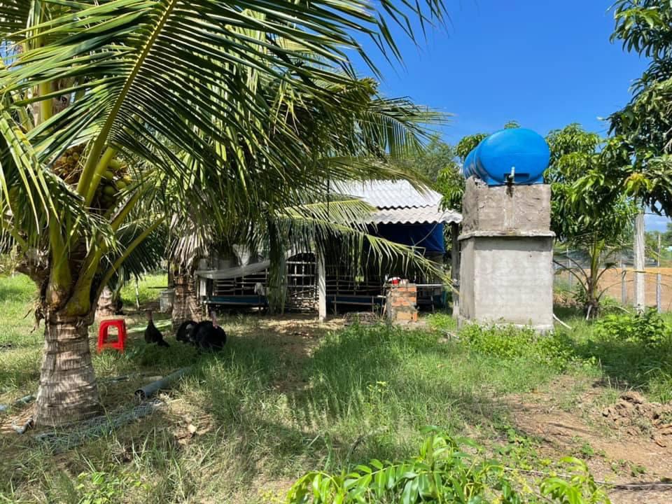 CHÍNH CHỦ BÁN ĐẤT GIÁ TỐT NHẤT KHU VỰC TRÀ VINH