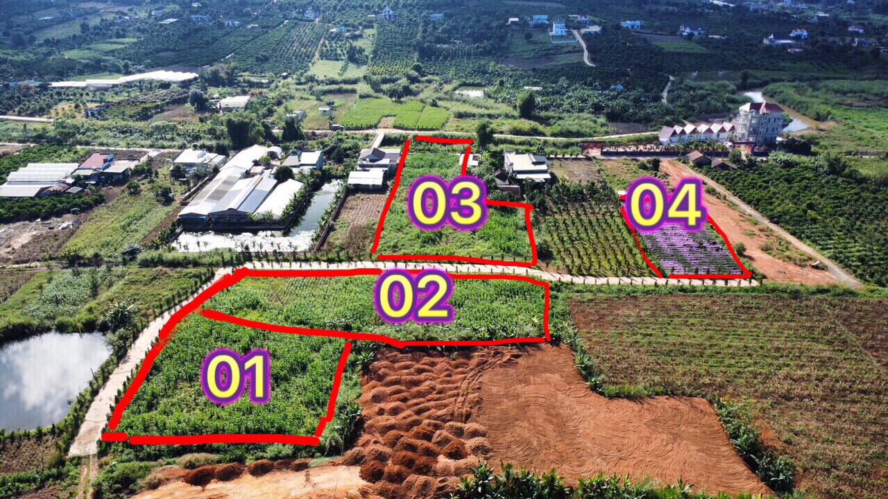 ĐẤT SÀO NAM BAN. LÂM HÀ ,LÂM ĐỒNG GIÁ RẺ ; 2,4 TỶ / 1624.9 m2