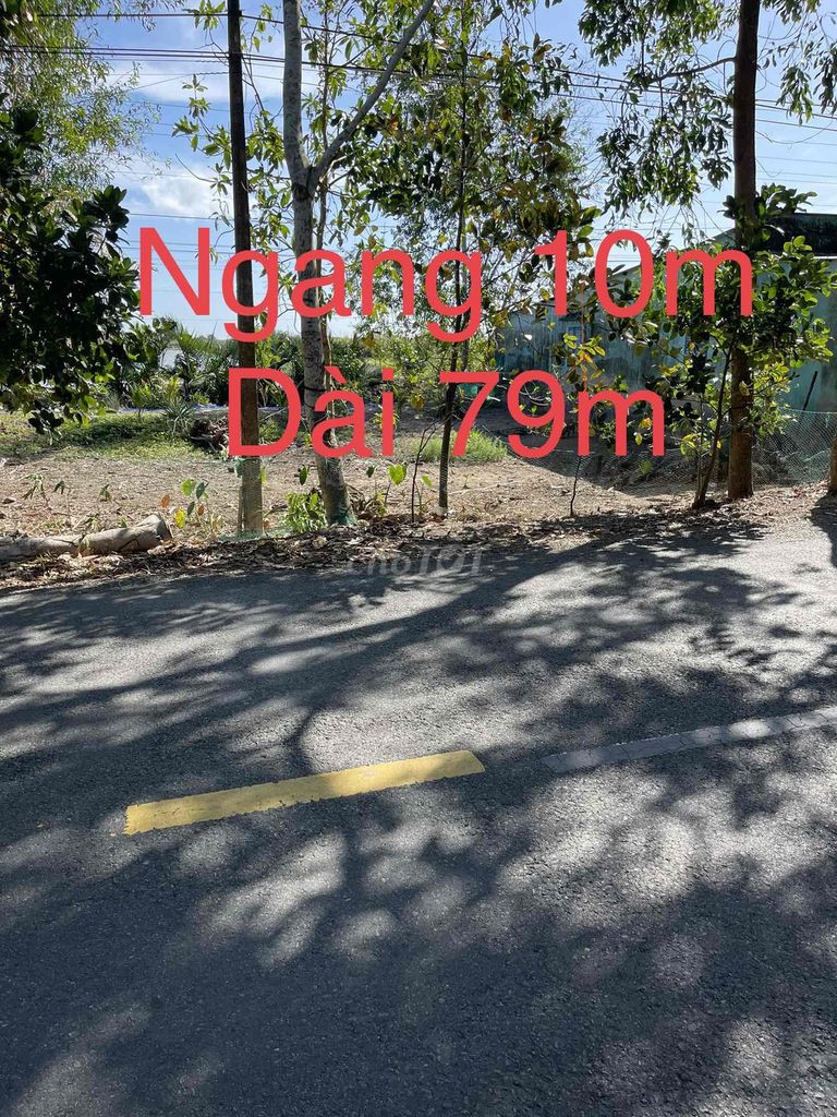 Chính Chủ Bán 799m2 Đất Giá Rẻ Nhất Khu Vực Đt986A-Cà Mau