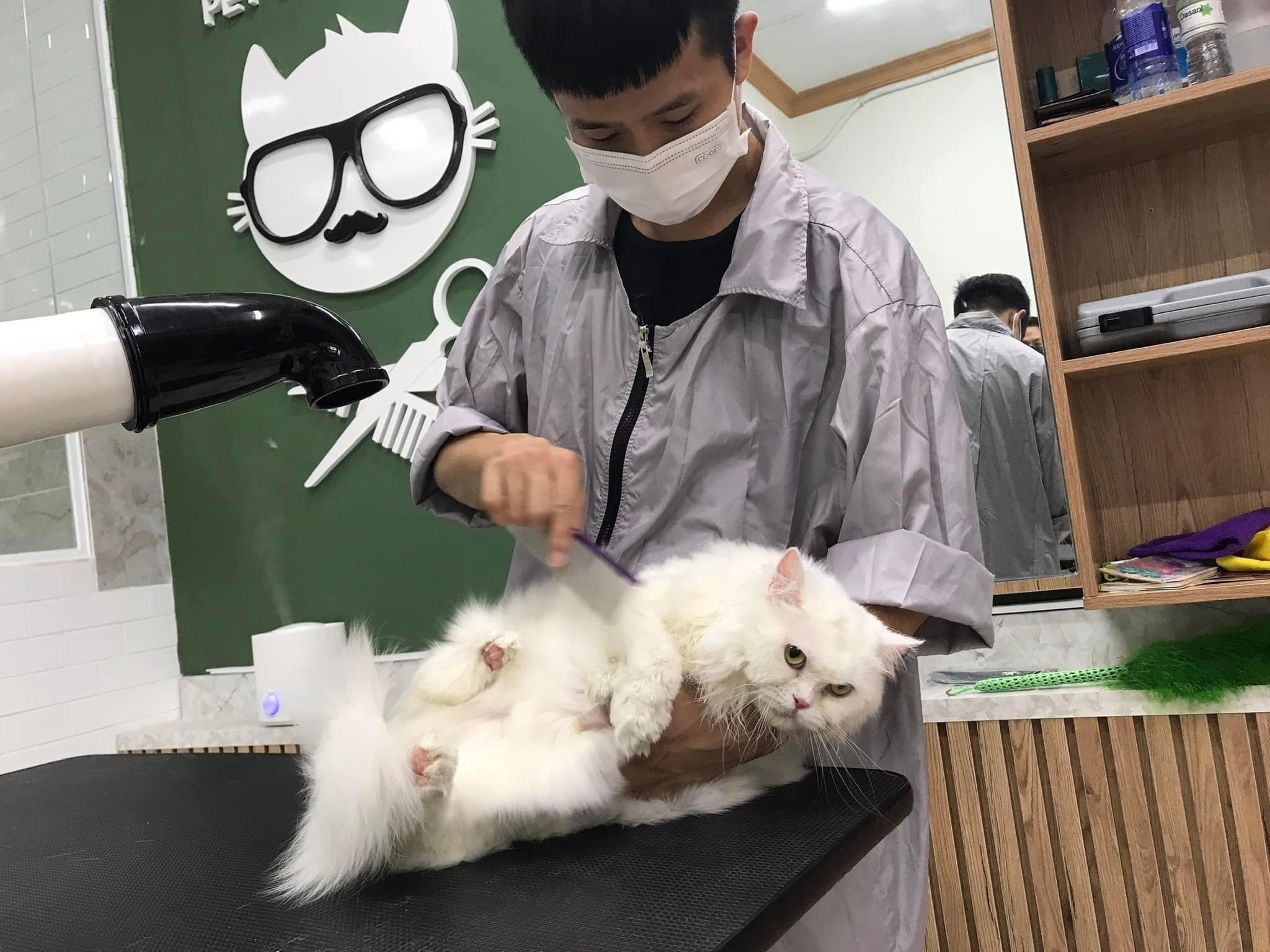 Cần Sang Lại Gấp Cửa Hàng Thú Cưng Cao Cấp Tại Thủ Dầu Một