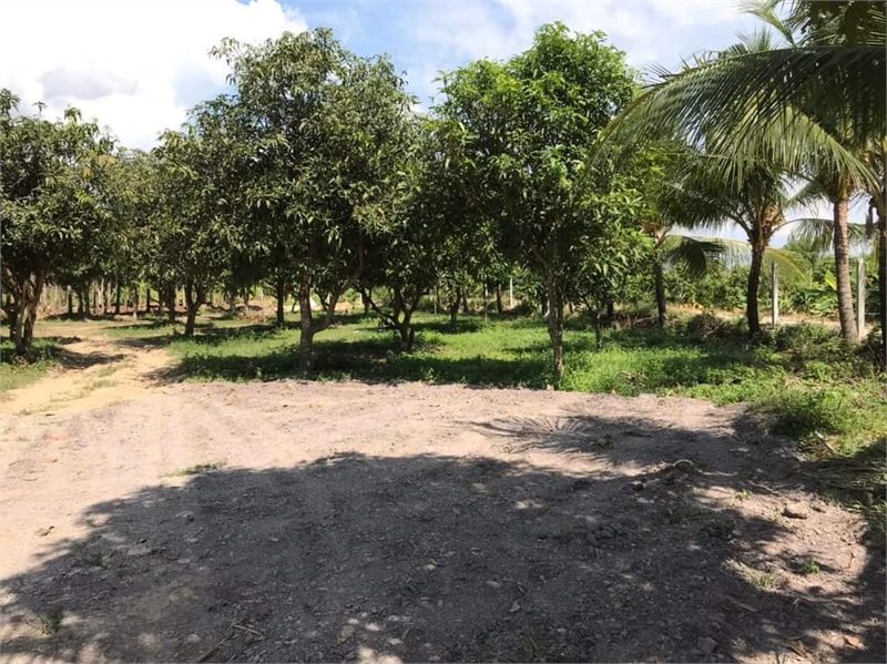 ĐÂT VƯỜN SUỐI HIỆP GIÁ RẼ CHO NHÀ ĐẦU TƯ CHỈ 2TR/M