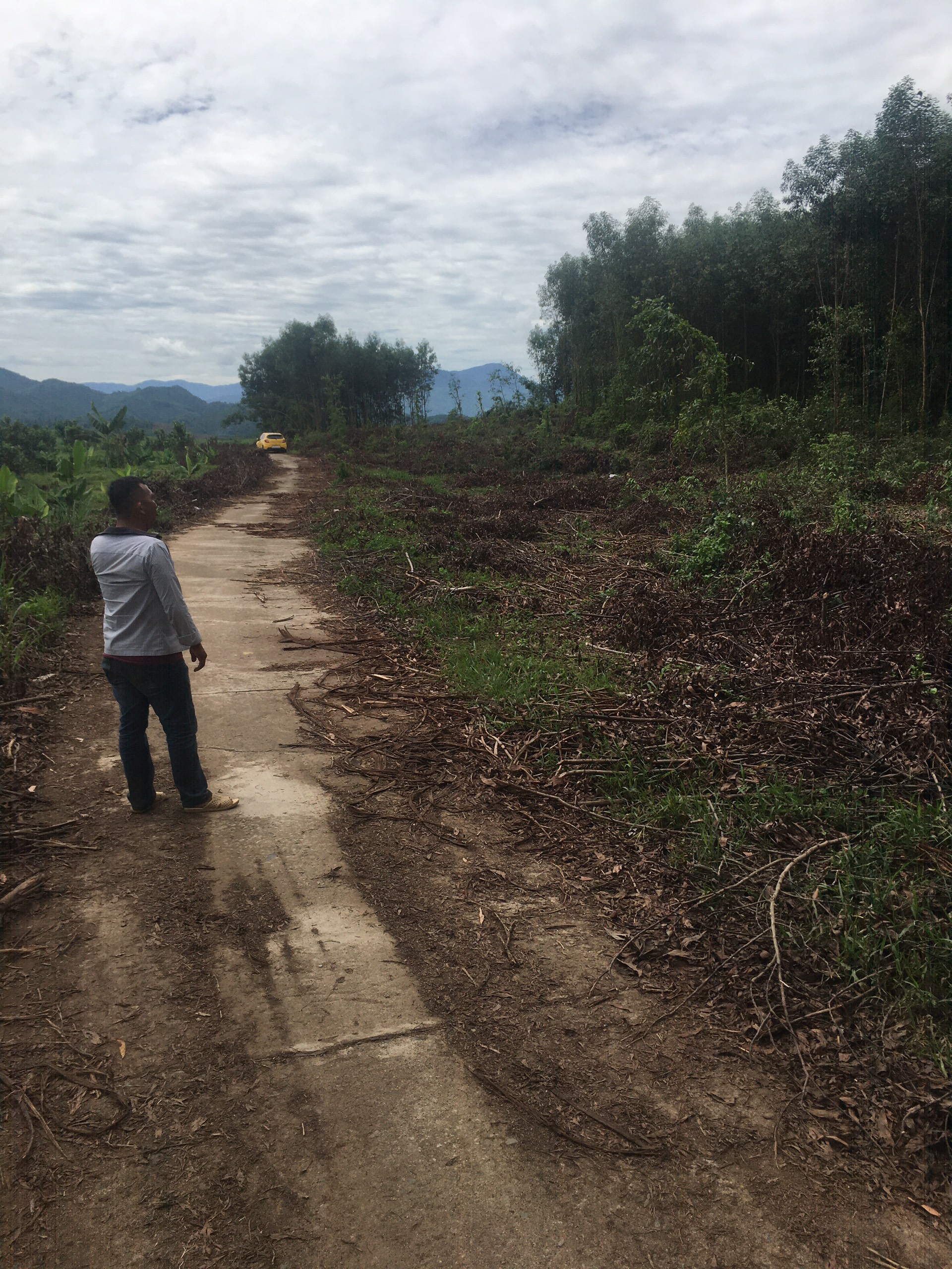 BÁN LÔ ĐẤT TRỒNG KEO 1HA KHÁNH NAM,KHÁNH VĨNH GIÁ 350K/M2 - KHÁNH VĨNH