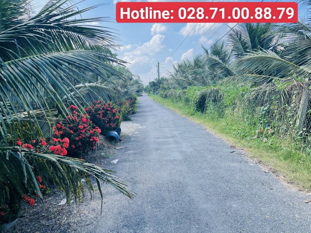 Bán nhanh đất công góc 2 mặt tiền đường Kinh Nổi B xã Song Bình Chợ Gạo – Tiền Giang