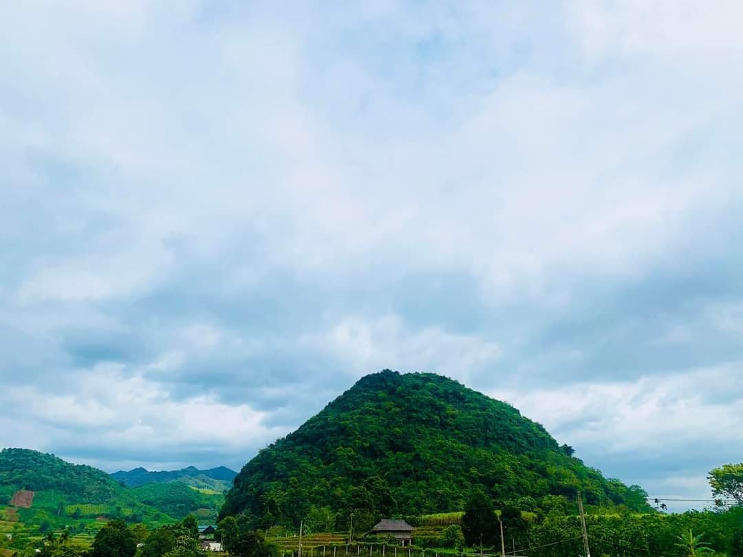 Chính chủ cần bán mảnh đất Cao Phong 3984m2 Diện tích :3984m trong đó có 1300ont+ CLN