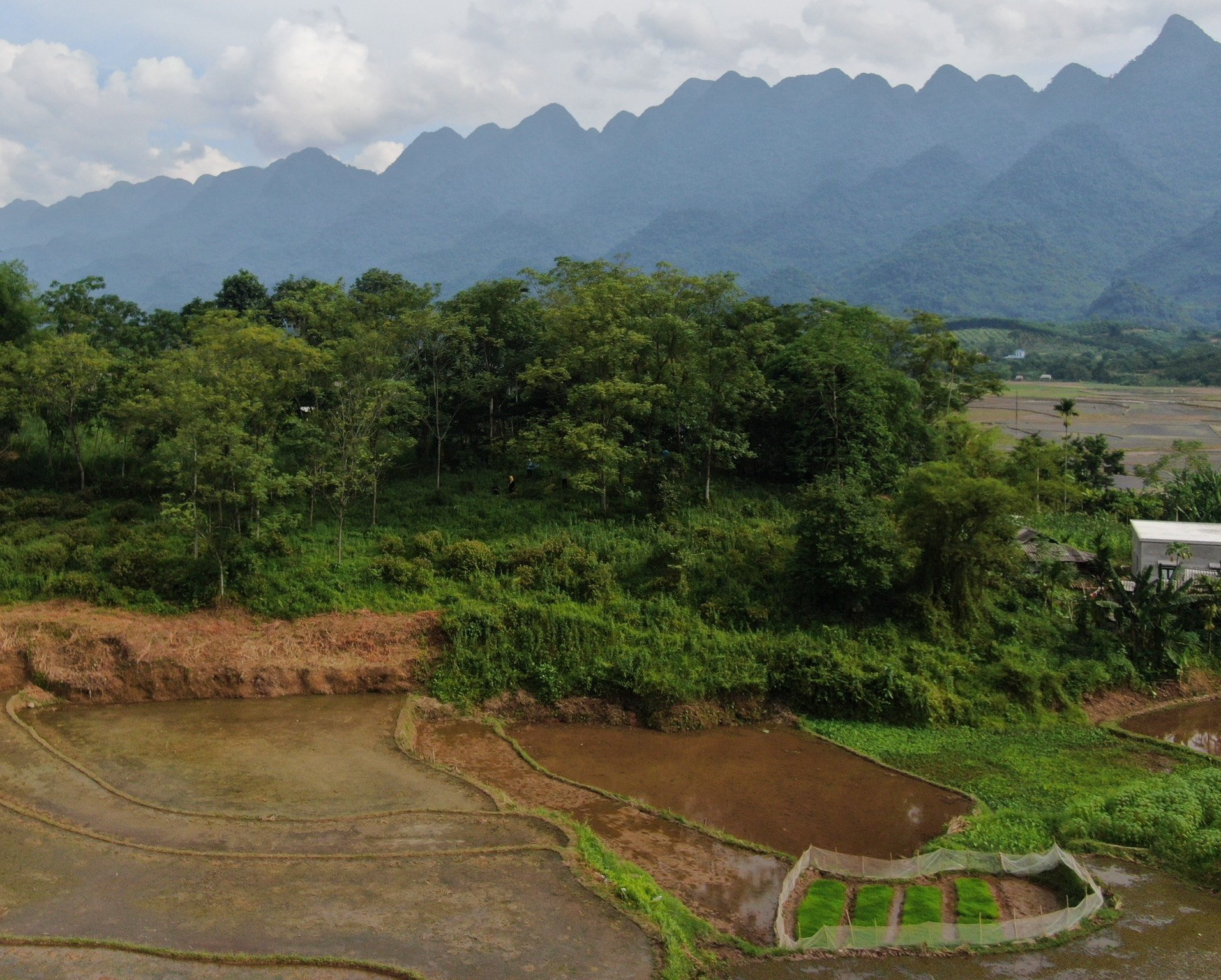 Bán rẻ mảnh đất đẹp tại Lỗ Sơn, Tân Lạc 1404m2 view cánh đồng Chưa đến 500k / m đất 1404m2 có tới 400m thổ cư