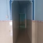  64m2 - 4