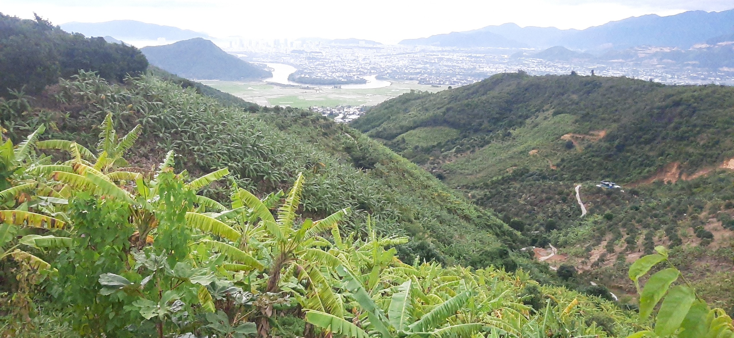 Bán rẫy 1,4ha Vĩnh Phương, Nha Trang Giá 150k/m²