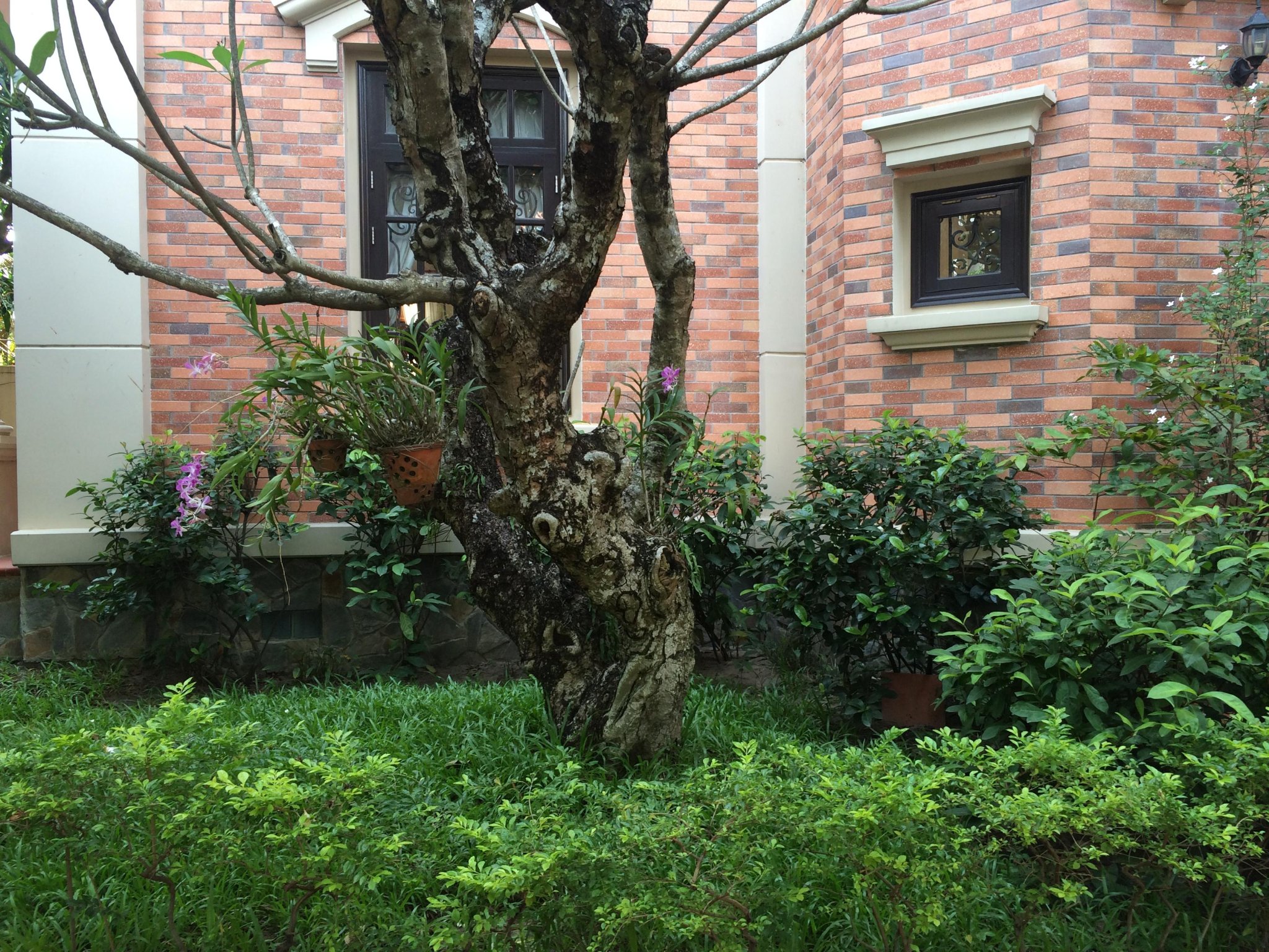 Định cư nước ngoài cần bán gấp siêu Biệt Thự khu Thảo Điền Quận 2.Dt 975m2. trệt 2 lầu áp mái.Giá:250 tỷ