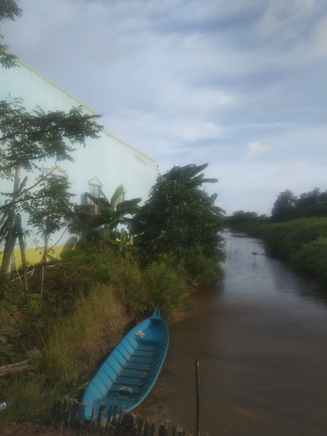 CHÍNH CHỦ CẦN BÁN GẤP LÔ ĐẤT VUÔNG NUÔI TÔM TẶNG NHÀ CẤP 4.