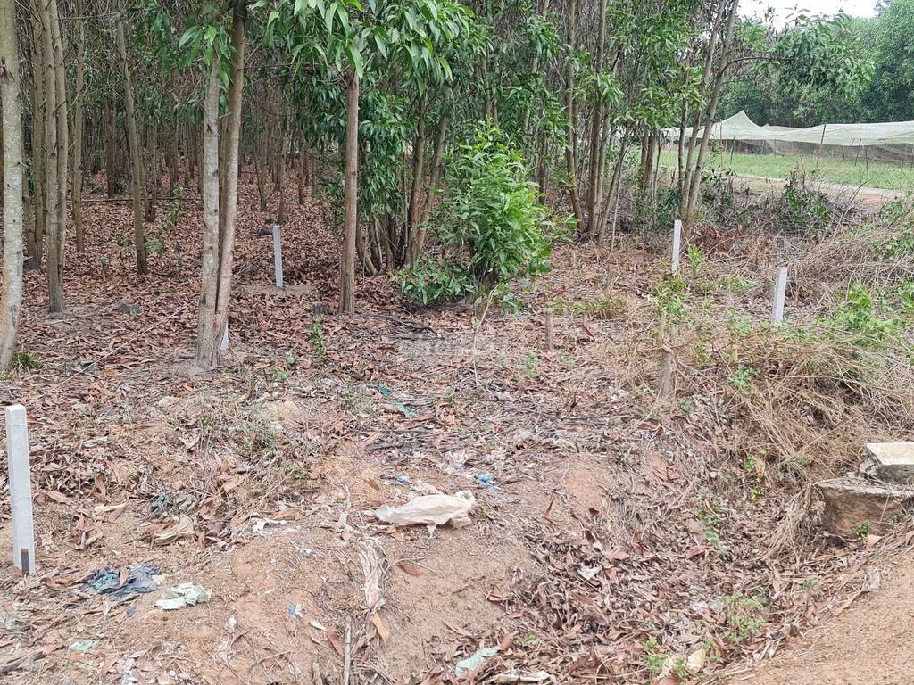 CHÍNH CHỦ CẦN BÁN ĐẤT Huyện Long Thành, Đồng Nai