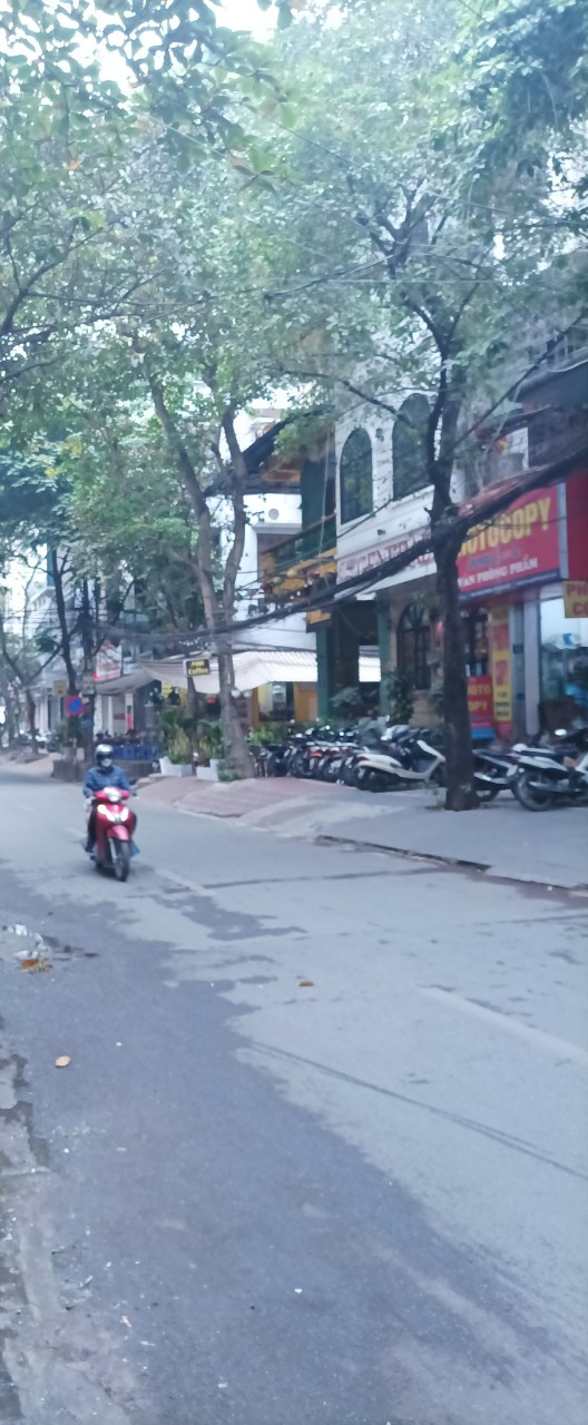 NHÀ 5 TẦNG MẶT PHỐ - KINH DOANH - TRẦN QUANG DIỆU DT: 55M2 MT: 4,5M, GIÁ 29,7 TỶ