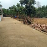  600m2 - 5