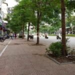 350m2