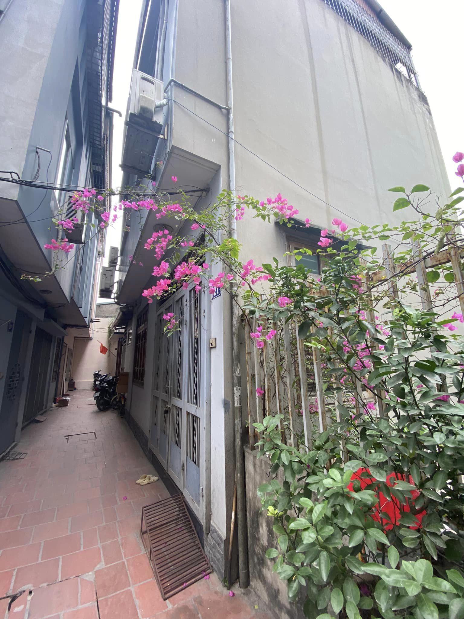 Bán nhà phố Văn Cao DT 39m 3 tầng MT 6,6m giá 4,1 tỷ