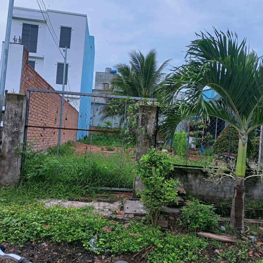 Chính Chủ Bán Đất Sổ Hồng Riêng Giá Rẻ Mt Tô Ngọc Vân