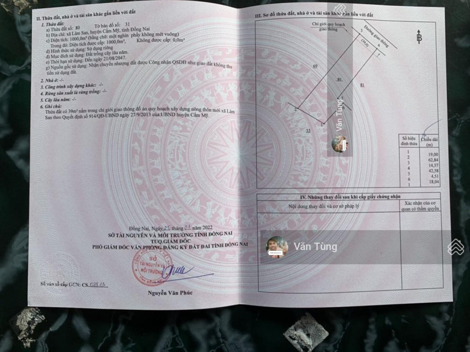 1 sào đúng Lâm San, đất bằng đẹp gần giá chỉ 1 tỷ 2 còn thương lượng