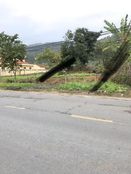 Cần bán gấp ô đất tại bản Lán Yên, xã Nà Tấu