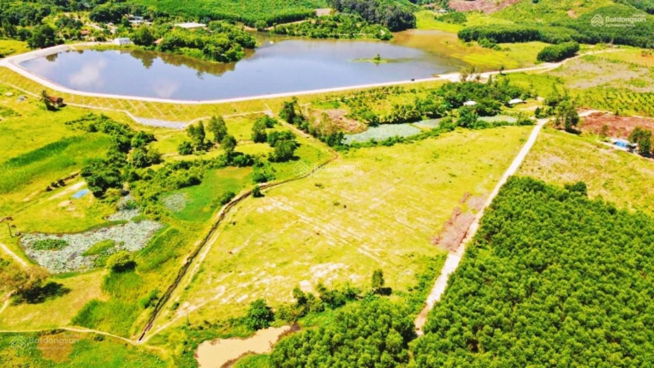 2ha Diên Tân giáp đầm Sen và view hồ siêu đỉnh