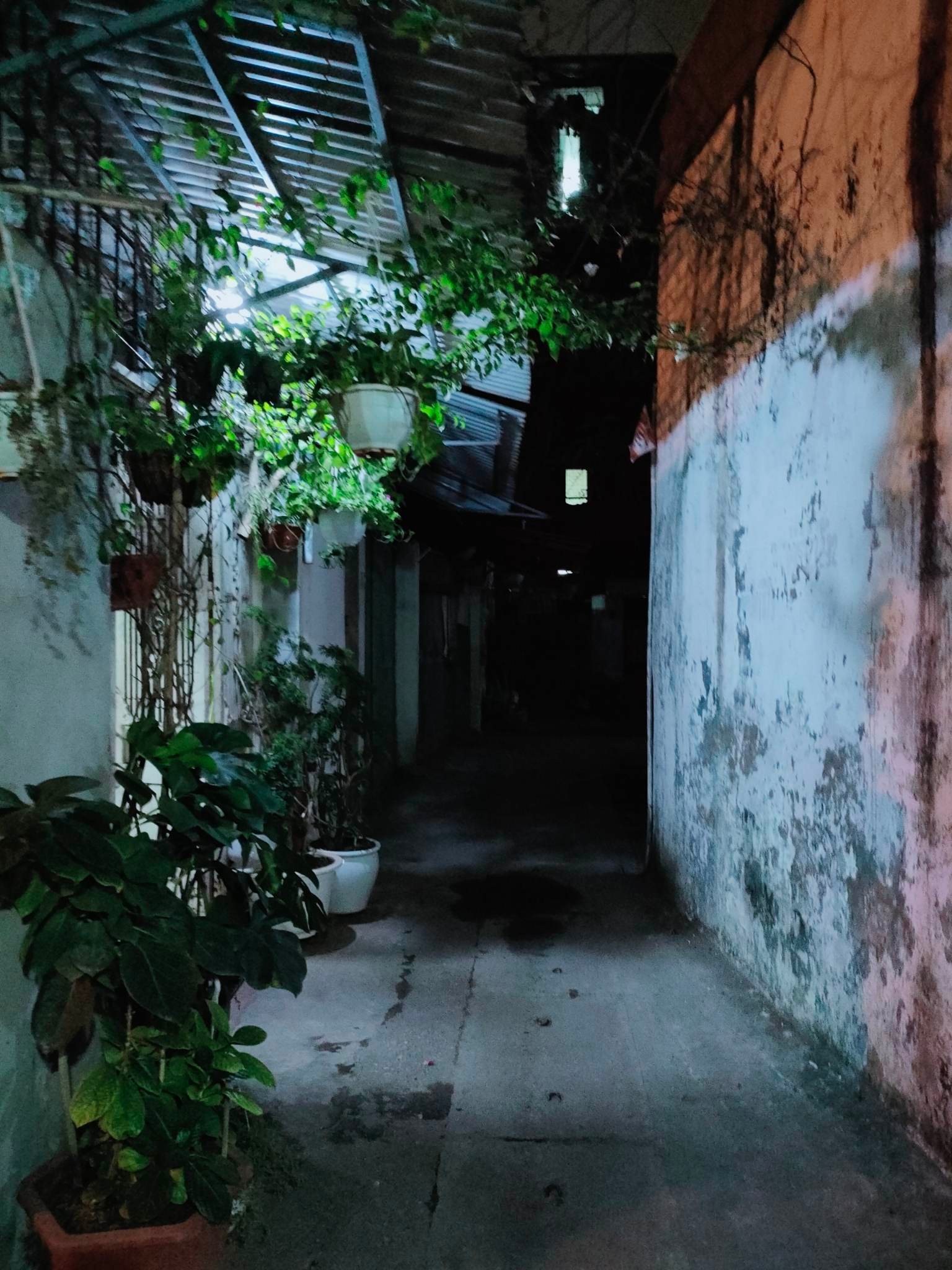 BÁN CĂN HỘ TẬP THỂ LÔ GÓC TẦNG MỘT PHỐ 8 /3 ĐẸP HIẾM THOÁNG SÁNG MÁT