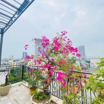  60m2 - 6
