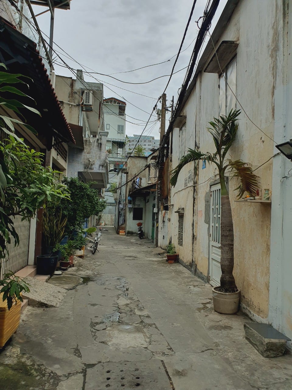 BÁN NHÀ ĐƯỜNG LŨY BÁN BÍCH – TÂN PHÚ – 25M2 – 2 TẦNG – GẦN UBND TÂN PHÚ✅