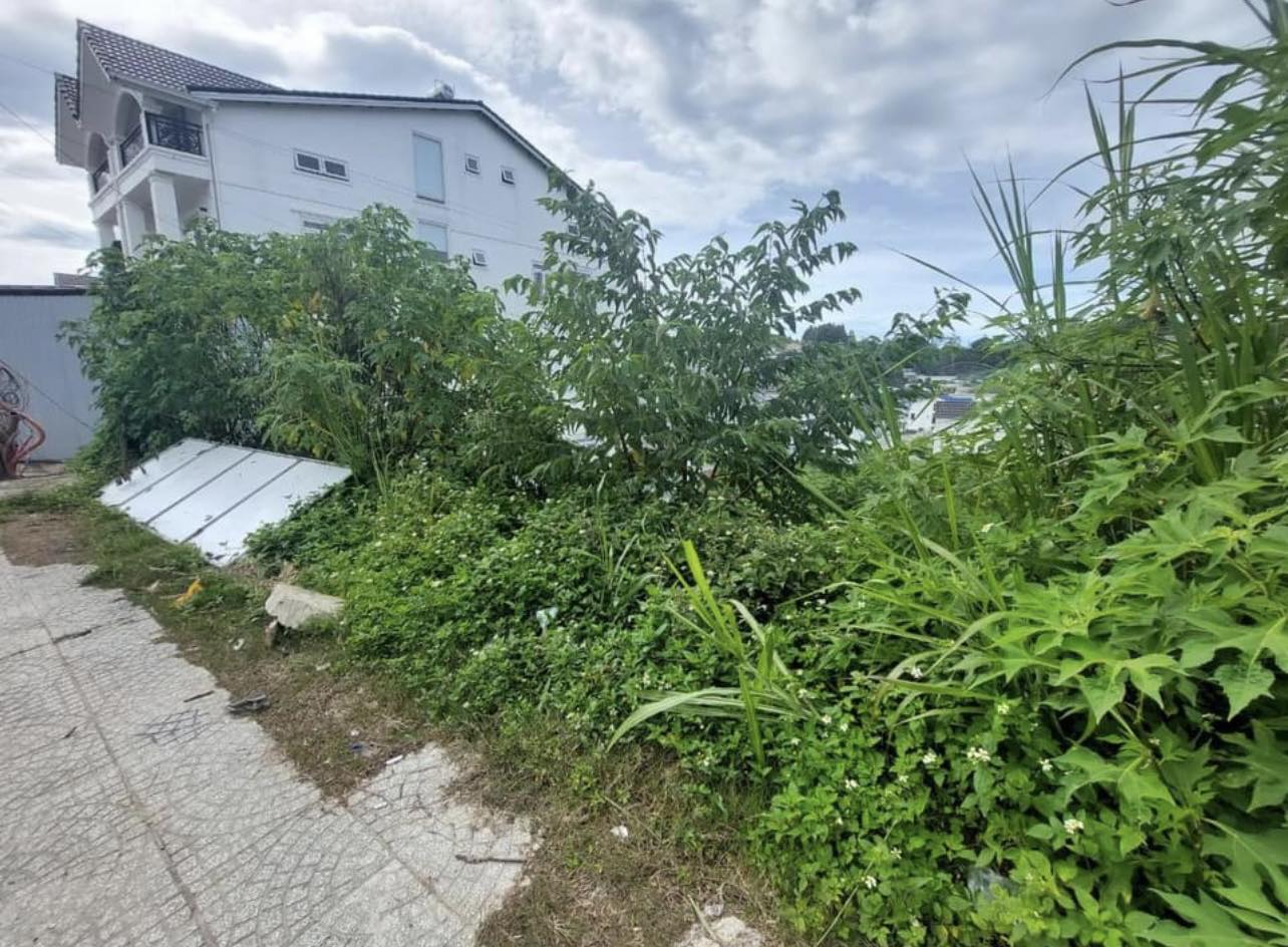 Bán lô đất 3 mặt tiền đường chính Nguyễn Đình Quân Đà Lạt